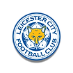 凯发体育-KAIYUN-SPORTS-LEICESTER-CITY